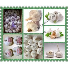 ''fresh chopped garlic''